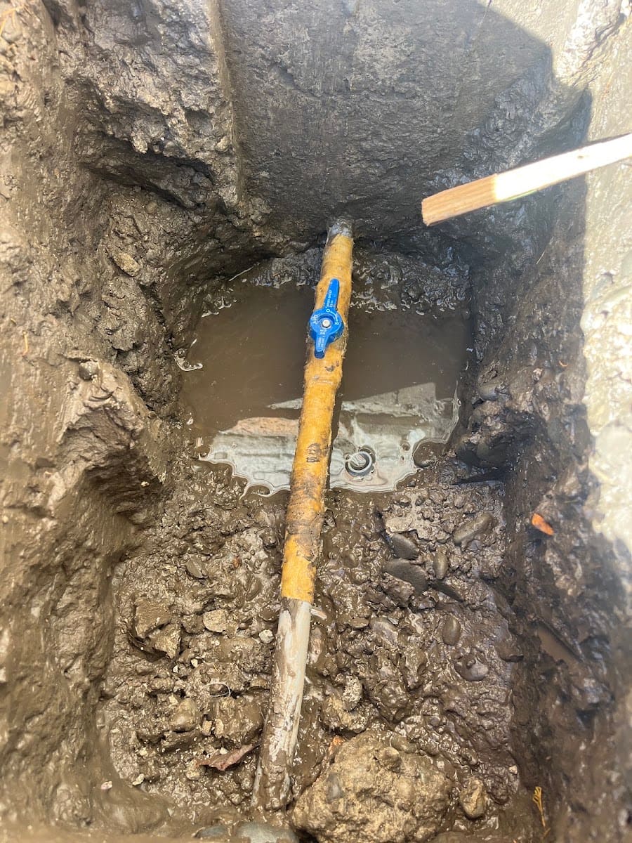 Recent job