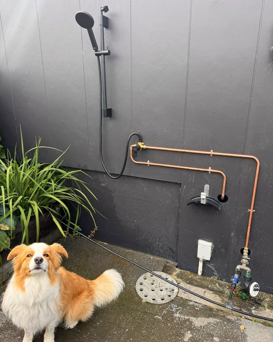 On-site supervision, PlumbFitz-style
